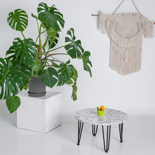 Nemokamas pristatymas