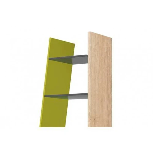 Grafitas ir žalia iguana lentyna