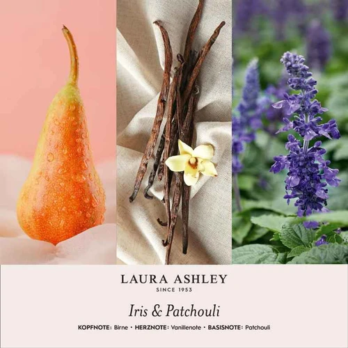 Kvapų pakabukas Laura Ashley, irisai ir pačiuliai, 10 × 3 × 14 cm - Dekoracijos