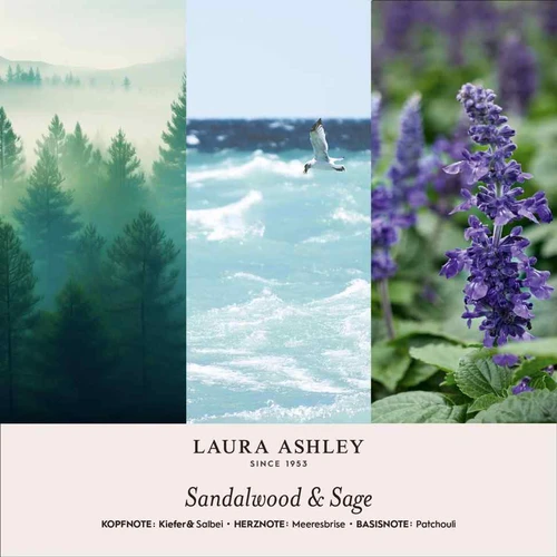 Kvapų pakabukas Laura Ashley, sandalmedis ir šalavijas, 10 × 3 × 14 cm - Dekoracijos