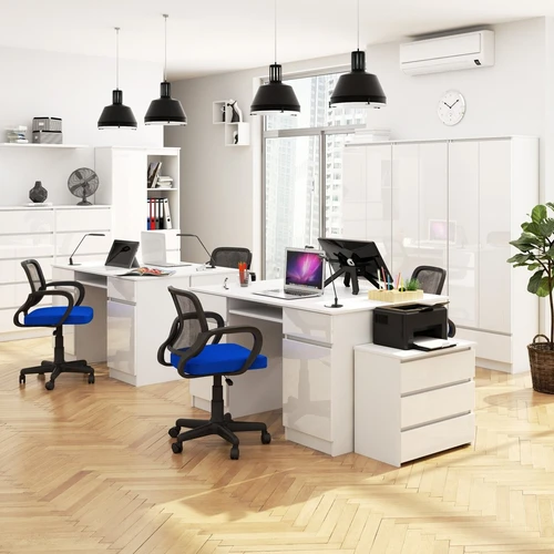 Patvari ir stilinga baltos spalvos spinta biurui ar namams