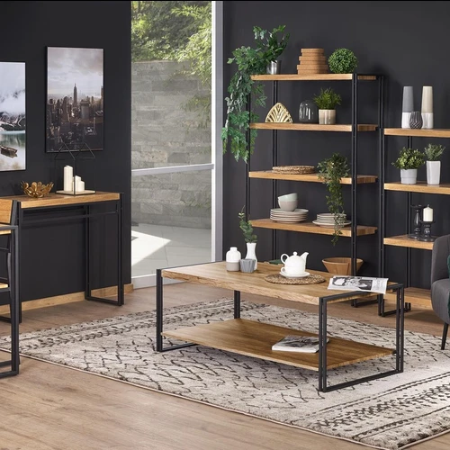 Juodos ir auksinės spintos su miltelinės dažymo technika