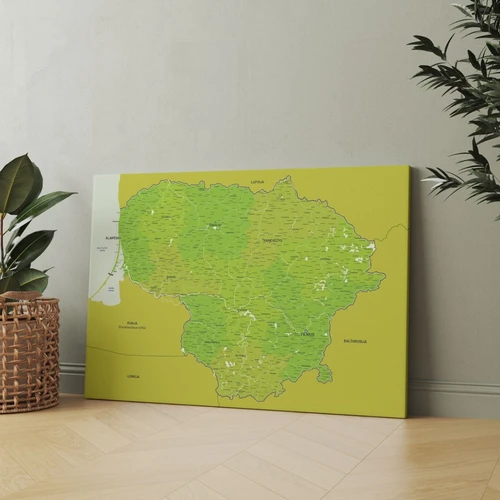 Profesionalūs žemėlapiai, pagaminti Lietuvoje – kokybė ir stilius