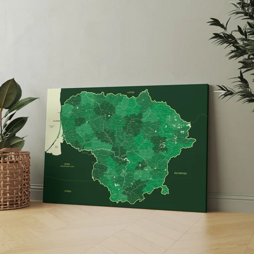 Originalūs žemėlapiai su smulkia tekstūra ir tvirta drobe – puiki dekoracija