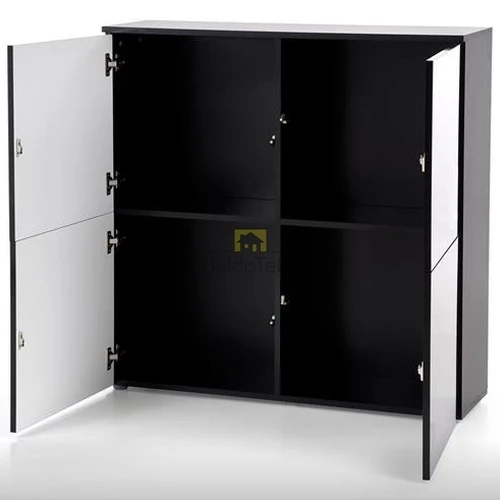 Ekspozicinis LMDF spintos modelis