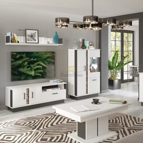 Elegantiška spinta su moderniu dizainu ir PVC fasadais