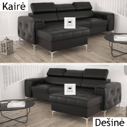 Dygsniuoti šonai ir transformacijos mechanizmas Delfinas