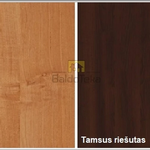 Moderni spintelė pagal jūsų spalvos pasirinkimą