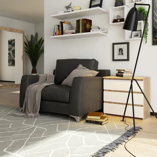 Ergonomiška komoda – estetika ir patogumas viename |