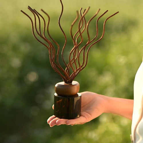 Namų kvapas su lazdelėmis AMBERWOOD ¦ 100ml