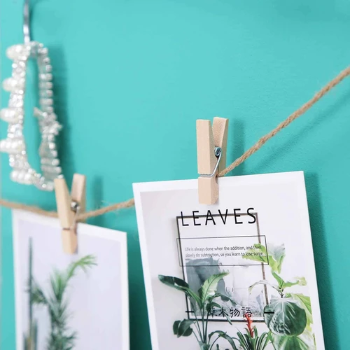 Unikali tinklelio sienelė nuotraukoms ir užrašams