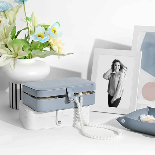 Idealus kelionėms dėklas su 17 skyreliais auskarams