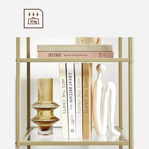 Moderni lentyna su maksimalia 10 kg apkrova