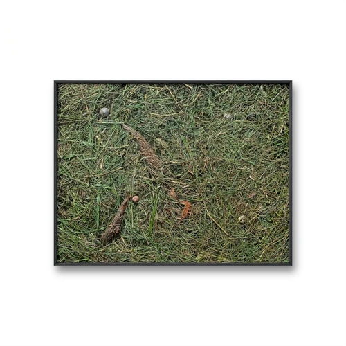 Modernus paveikslas 50x40 cm – tiks jokiam interjerui