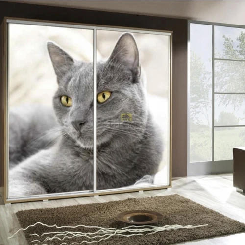 Patvari ir patogi spinta su aukšta kokybe