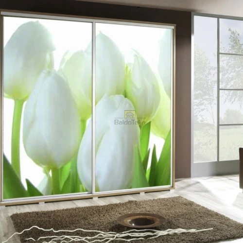 Moderni spinta su aliuminio bėgeliais ir dideliu talpinimu