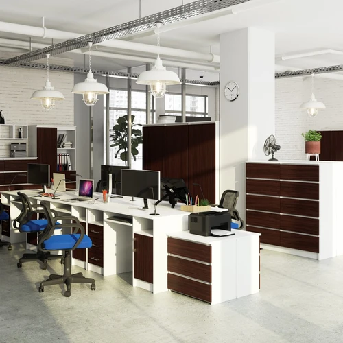 Praktiškas rašomasis stalas su spintele ir lentyna