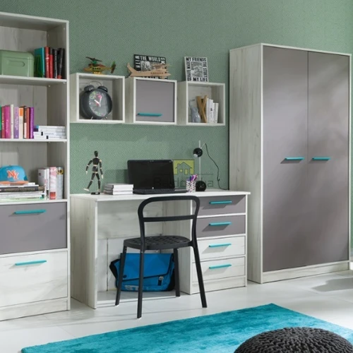 Elegantiška LMDP spinta 50x108x45 cm, Craft balta/pilka, individualūs rankenėlių spalvų variantai