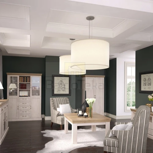 Ergonominė spinta su minimalistiniu dizainu