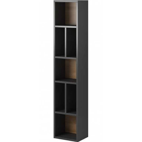 Sieninė pakabinama knygų spinta TOLEDO TL88 ąžuolas grandson / antracito blizgesys