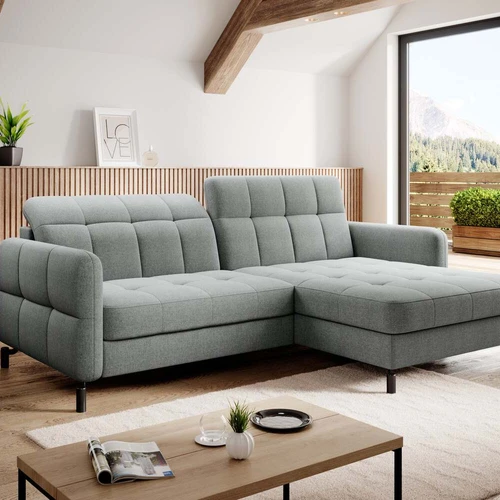 Automatinis delfino mechanizmas