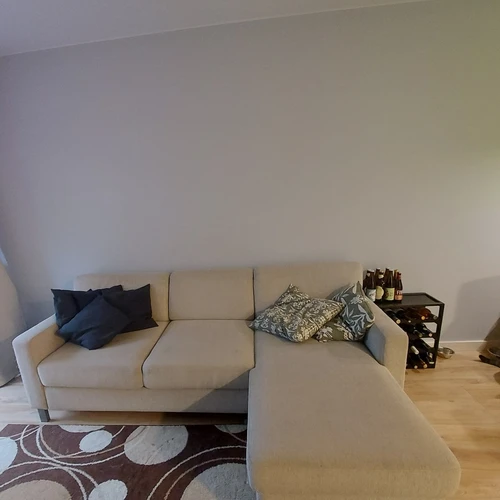 Išvažiuojamoji sofa su daug vietos ir pagalvėmis