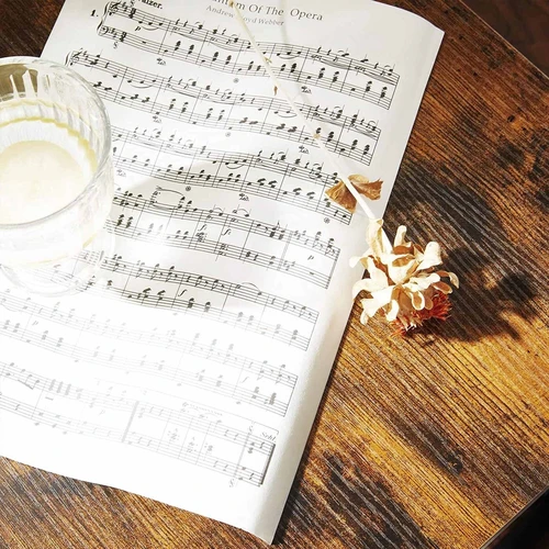 VASAGLE šoninė lentynė su priedais ir vadovu