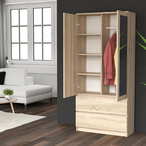 Moderni spinta su 2 veidrodžiais ir 2 stalčiais