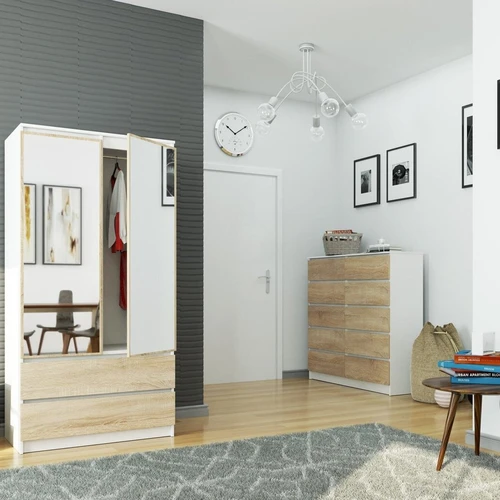 Erdvi spinta su dvigubomis durelėmis ir veidrodžiu