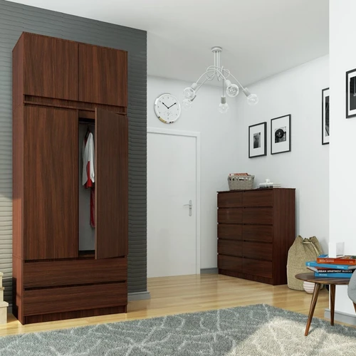 Tamsiai ruda spinta su baro erdve ir lentynomis