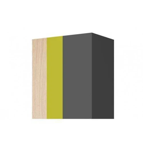 Iguana žalia spinta – puikus akcentas interjere