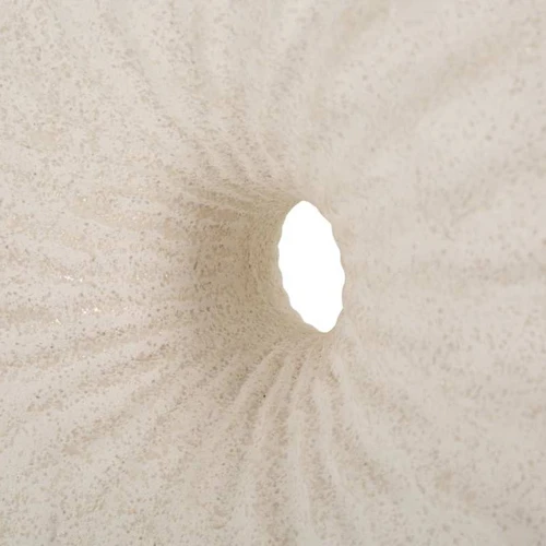 Stalinė lempa Anemone, 1 šviesos šaltinis, Smėlio, 32 × 49 × 24,5 cm - Staliniai šviestuvai