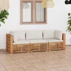 Trivietė sodo sofa su pagalvėlėmis, tikmedžio medienos masyvas