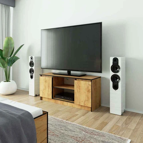 TV staliukas K120 2D 1P CLP, ąžuolo spalvos, 120 × 55 × 40 cm - TV spintelės