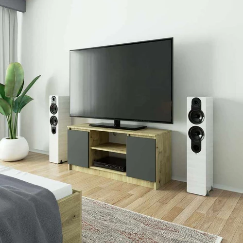 TV staliukas RTV K120 2D 1P, pilkos/rudos spalvos, 120 × 55 × 40 cm - TV spintelės