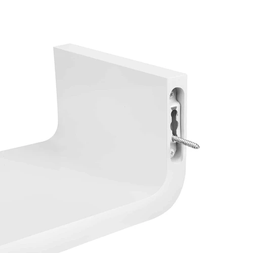 Patogios 3 sieninės lentynos visai šeimai