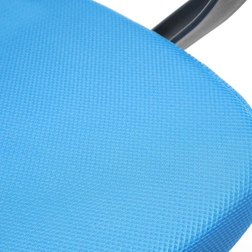 Klasikinio stiliaus fotelis su nesenstančia verte