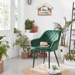 Valgomojo kėdė, žalios spalvos - Kėdės
