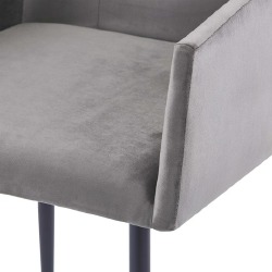 Valgomojo kėdės su porankiais, 2vnt., pilkos spalvos, aksomas - Kėdės