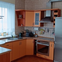Virtuvinės spintelės, baras, baro kėdės, virtuvės buitinė technika išskyrus šaldytuvą.