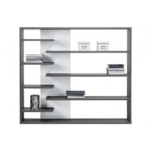 Z02 - ZONDA kairioji knygų spinta