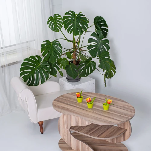 PVC apvadai ir tvirta konstrukcija – staliukas PUPELĖ ilgam!